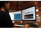 Professional Web Development Agency