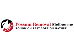 Possum Removal Melbourne