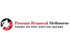Possum Removal Melbourne