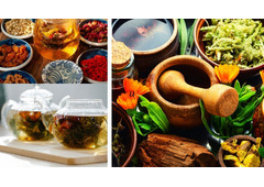 Discover the Healing Power of Natural Remedies: An eBook to Learn Healthy Living