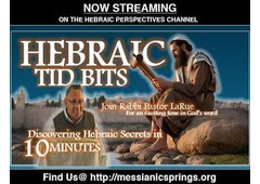 Learn The Bible From A Hebraic Lens