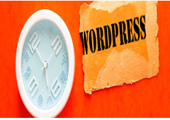 WordPress Development Services in Ahmedabad