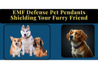 EMF Defense Pet Pendants: Shielding Your Furry Friend, The Ultimate Guide