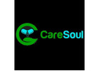 CareSoul