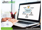 Professional SEO Services for Business Growth